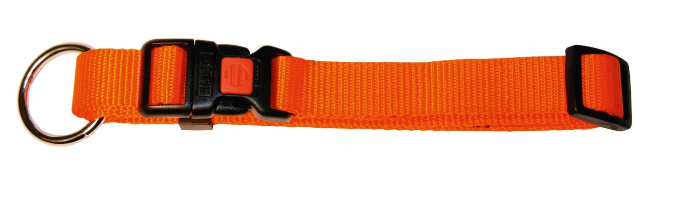 Hundehalsband Miami 40-55cm x 20mm Orange [82065] - KERBL