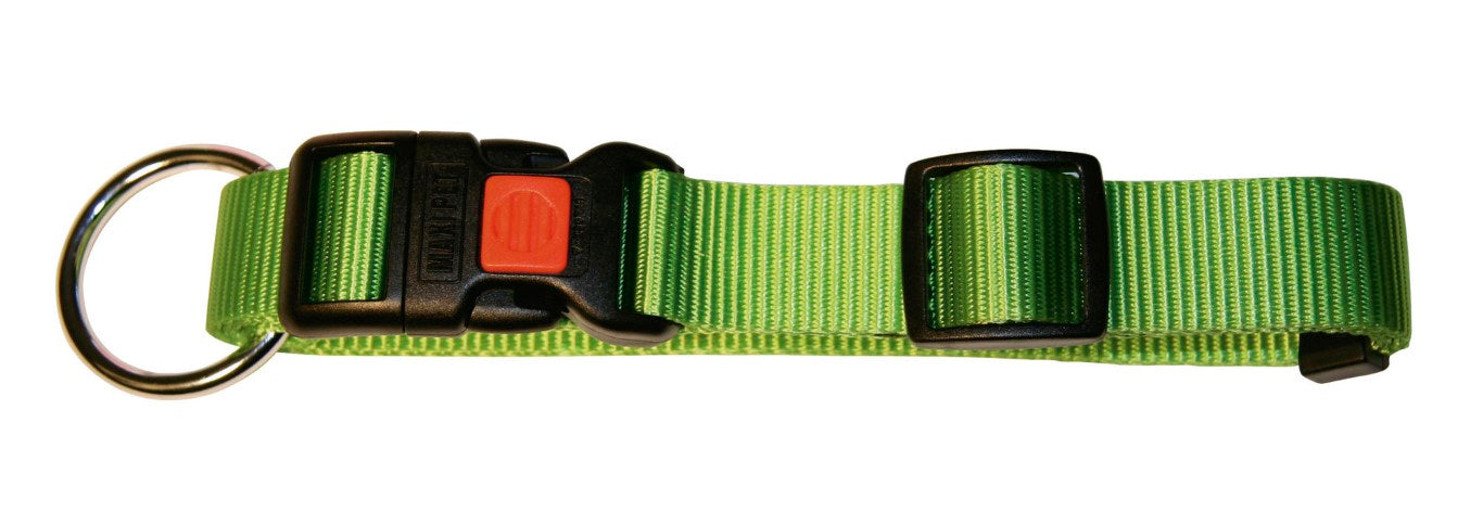 Hundehalsband Miami 45-65cm x 25mm Grün [82066] - KERBL