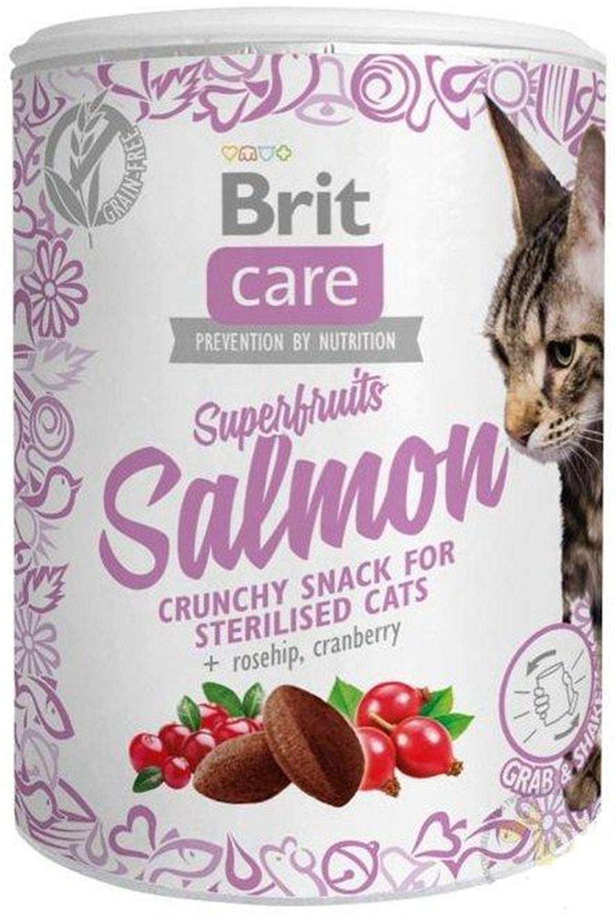 CARE CAT SNACK SUPERFRUITS LACHS 100g - BRIT