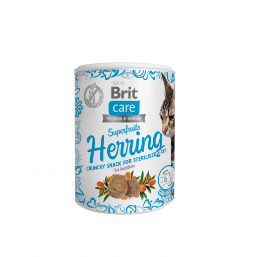 CARE Cat Snack Superfruits Hering 100g - BRIT